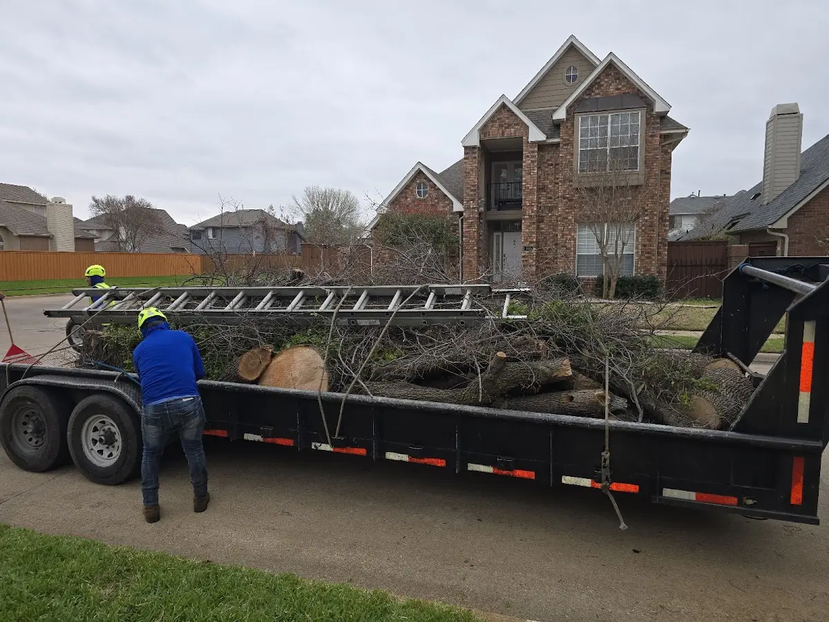 Expert Tree Removal with proper safety equipment in Gardendale